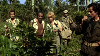 Wild Team (1985)