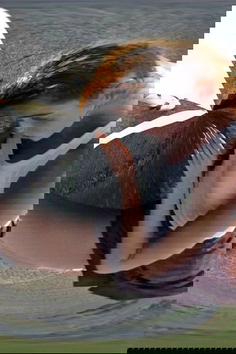 T I M E Q U A K E (2.0) poster