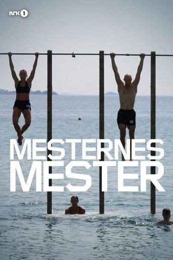 Mesternes mester — Posters 4