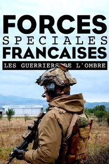 Forces spéciales françaises : Les guerriers de l'ombre