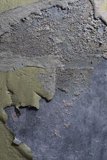 RECUERDOS DE CASA poster