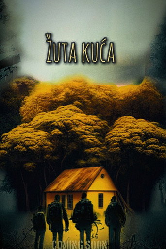 The Yellow house poster