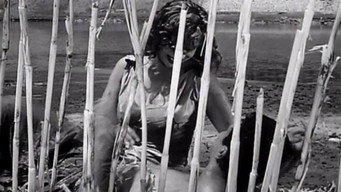 Conflict in the Nile (1959)