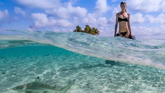 #4 Saving Jaws
