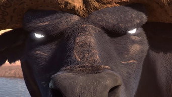 Lion media image