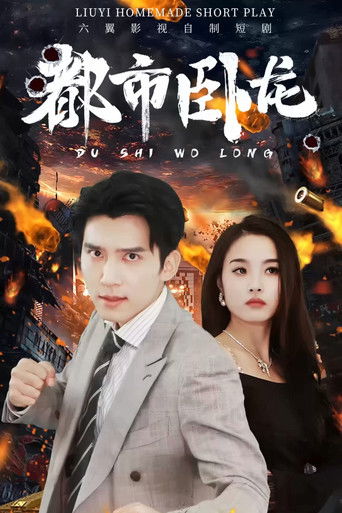 都市卧龙 poster