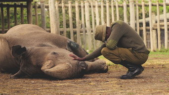 Kifaru (2019)