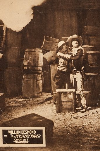 The Mystery Rider (1928) The Mystery Rider (1928)