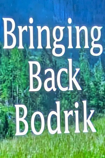 Bringing Back Bodrik (2016)
