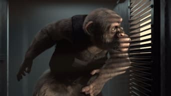 #1 Шимпанзе під прикриттям