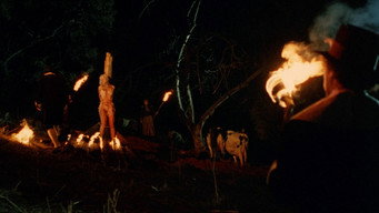 #7 The Devonsville Terror