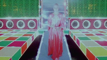 The Arrival (1980)