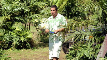 50 First Dates backdrop 8
