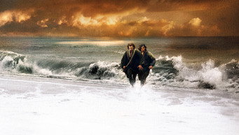 Galeria 2 - Silencio