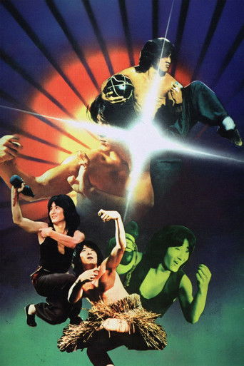 Revenge of Drunken Master poster 4