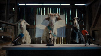 Sheep (2026)