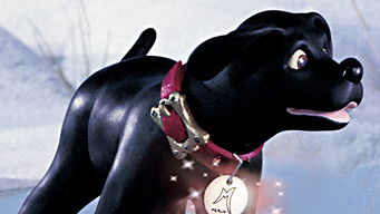 Episode 13 — The Sea-Cole Man