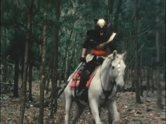 Kamen Rider T6E31