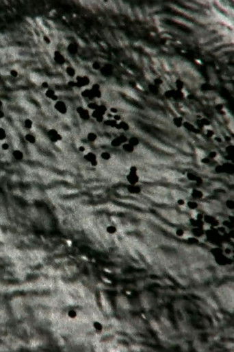 Island Design poster