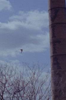 Midwood Movie (2024)