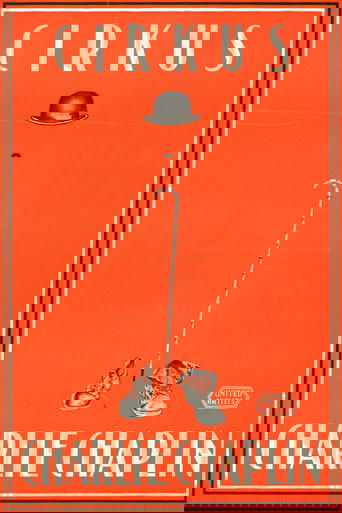 Cirkus