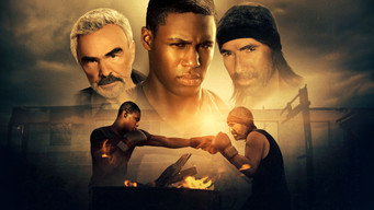 #4 Shadow Fighter