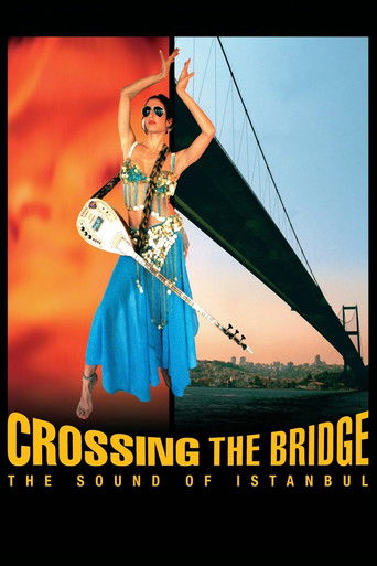 movie poster for Crossing the Bridge: The Sound of Istanbul
