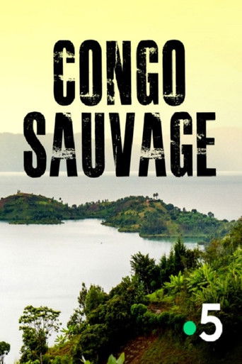 Congo sauvage poster