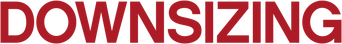Downsizing logo