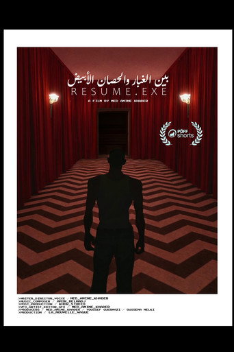 بين الغبار والحصان الأبيض