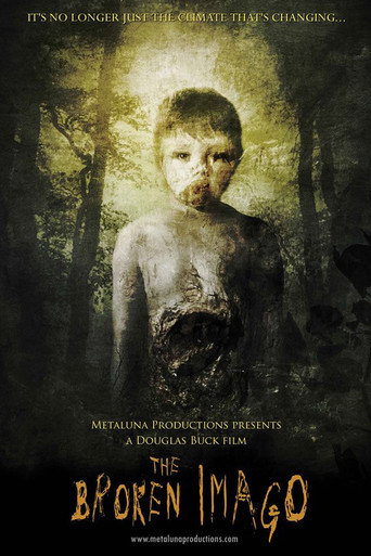 The Broken Imago