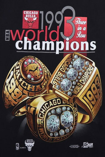 The 1993 NBA Finals poster