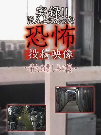 Actual Record! Real Horror Posted Video: The Unfading Figure of Sorrow poster