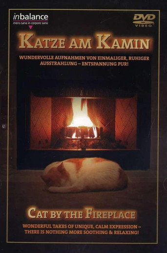 Cat by the Fireplace (2007)