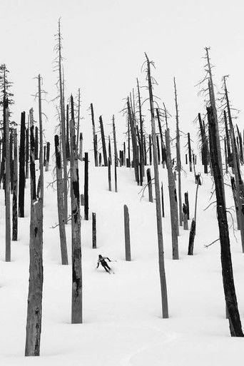 Cartell de The Blackcountry Journal