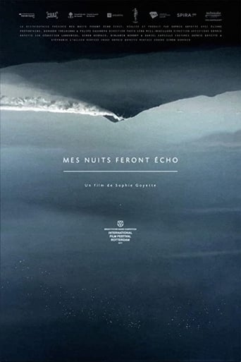 Poster of Mes nuits feront écho