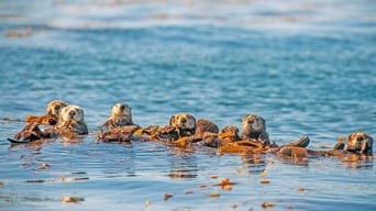 Galeria 3 - Planeta Azul: los océanos a examen