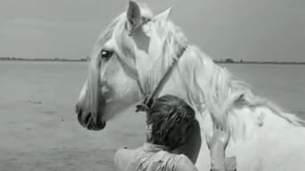 White Mane (1953)