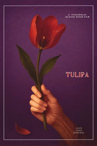 Tulipa