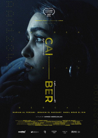 CAI - BER (2022)