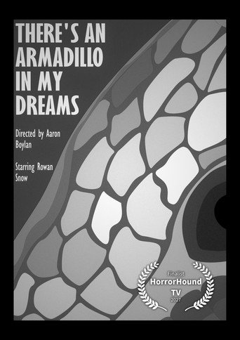 There's An Armadillo In My Dreams poster