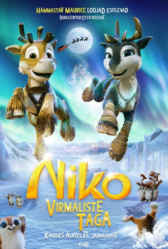 Niko: teisele poole virmalisi plakat
