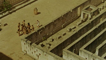 Mare's Nest (2025)