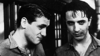Swoon (1992)