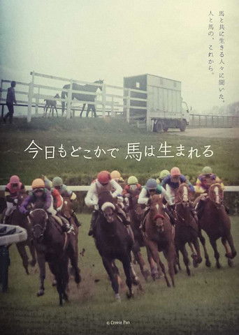 今日もどこかで馬は生まれる poster
