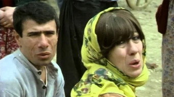 Sari Öküz Parasi (1985)