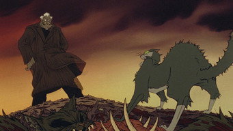 #13 Felidae