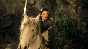 The Lord of the Rings: The Fellowship of the Ring backdrop 9