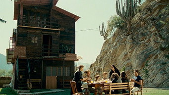 The Gold Mine (2010)