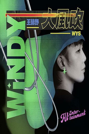 王赫野 - 大风吹 poster